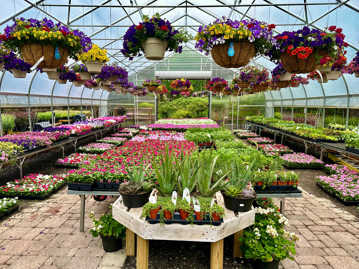 Visit Us – Riverside Nursery & Garden Center